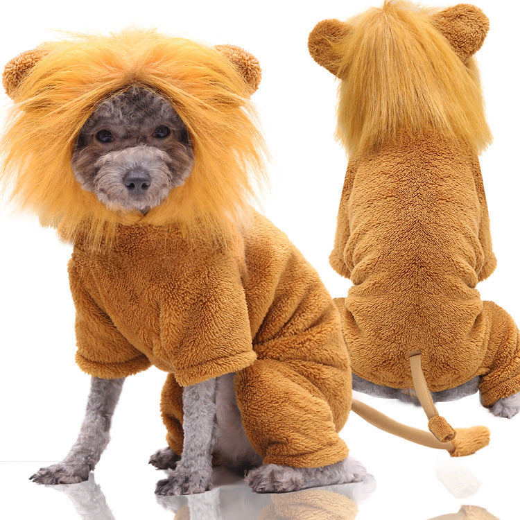 Disfraz para tu mascota - Rolthay