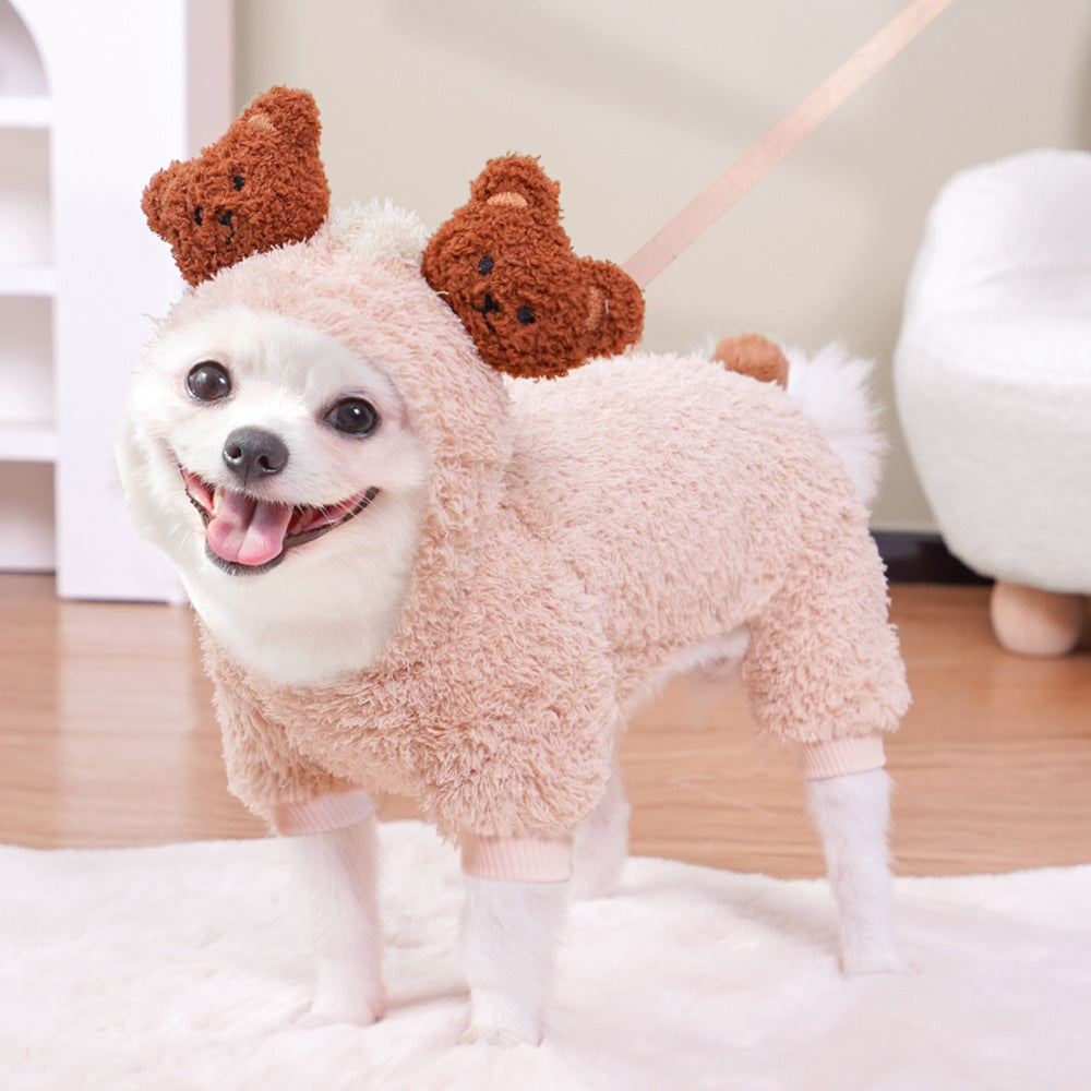 Disfraz para tu mascota - Rolthay